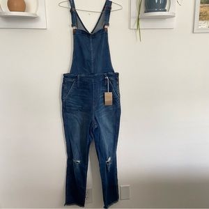 Madewell • Distressed Roadtripper Overalls in Brodie Wash